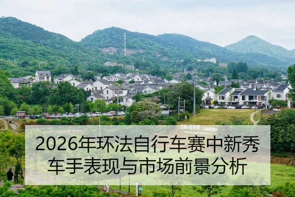 nian-huan-fa-zi-xing-che-sai-zhong-xin-xiu-che-shou-biao-xian-yu-shi-chang-qian-jing-fen-xi-2-538.jpg