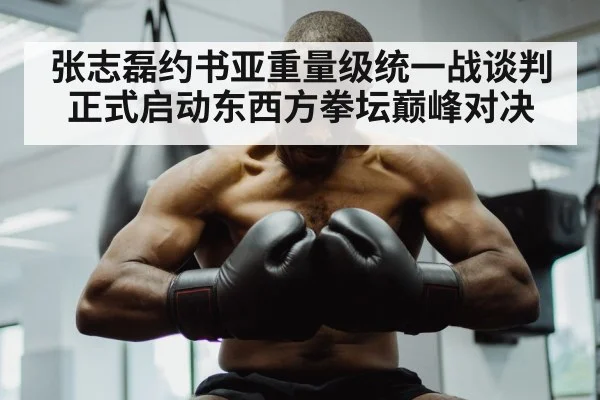 张志磊约书亚重量级统一战谈判正式启动东西方拳坛巅峰对决